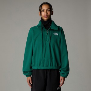 The North Face 100 Glacier 1/2 Zip Fleece Pullover Dam Gröna | NF0A13N3Q
