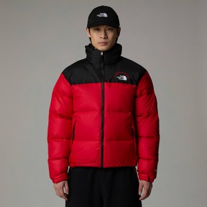 The North Face 1996 Retro Nuptse Jackor Herr Röda | NF0A58F0D
