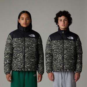 The North Face 1996 Retro Nuptse Jackor Barn Grå | NF0A72J9O