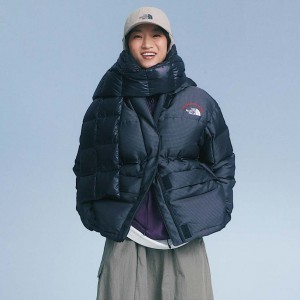 The North Face 30th Anniversary Himalayan Parka Dam Grå | NF0A95F4X