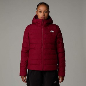 The North Face Aconcagua III Hooded Jackor Dam Röda | NF0A39L1J