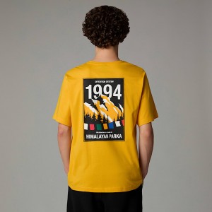 The North Face Anniversary T-shirt Herr Guld | NF0A26N1I
