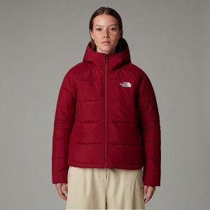 The North Face Circular Synthetic Hooded Jackor Dam Röda | NF0A49O6W