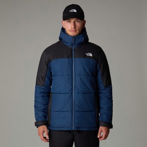 The North Face Circular Synthetic Hooded Jackor Herr Svarta | NF0A86C4Q