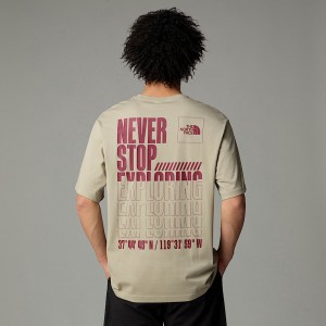 The North Face Coordinates T-shirt Herr Grå | NF0A32V9G