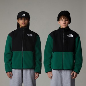 The North Face Denali Jackor Barn Gröna | NF0A65L4U