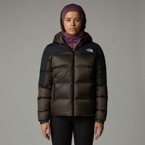 The North Face Diablo Down 2.0 Hooded Jackor Dam Bruna | NF0A51W7U