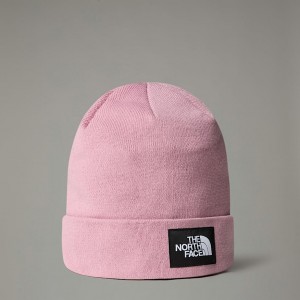 The North Face Dock Worker Recycled Mössa Herr Rosa | NF0A19O0A