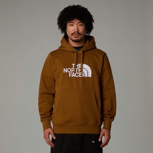 The North Face Drew Peak Hoodie Herr Bruna | NF0A35V7M