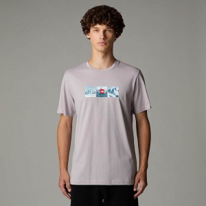 The North Face Expedition System Graphic T-shirt Herr Grå | NF0A32B6Y
