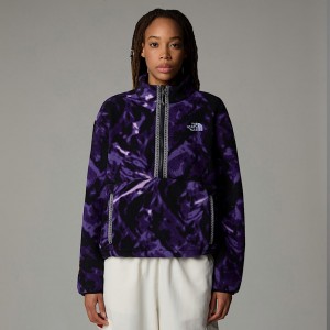 The North Face Fleeski 1/4 Zip Fleece Pullover Dam Lila | NF0A52H0F