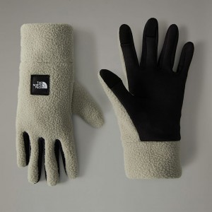 The North Face Fleeski Etip™ Handskar Herr Grå | NF0A34S1S