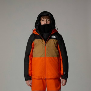 The North Face Freedom Insulated Jackor Barn Orange | NF0A96T1P