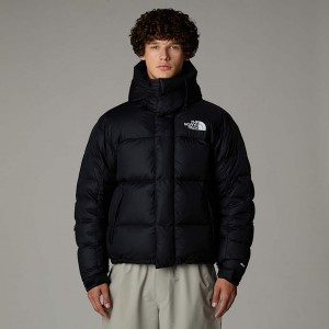 The North Face Himalayan Baltoro Jackor Herr Svarta | NF0A73L9F