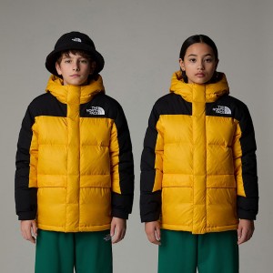 The North Face Himalayan Down Short Parka Barn Guld | NF0A00U3C
