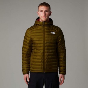 The North Face Huila Synthetic Insulation Hooded Jackor Herr Bruna | NF0A66Y7T