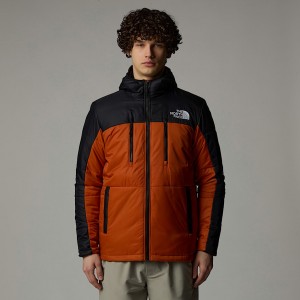 The North Face Limbara Light Synthetic Jackor Herr Koppar | NF0A41P3Q
