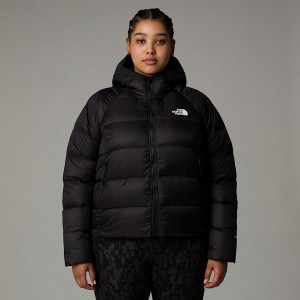 The North Face Plus Size Hyalite Down Hooded Jackor Dam Svarta | NF0A08I8L