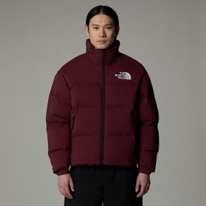 The North Face RMST Nuptse Jackor Herr Lila | NF0A57I4V
