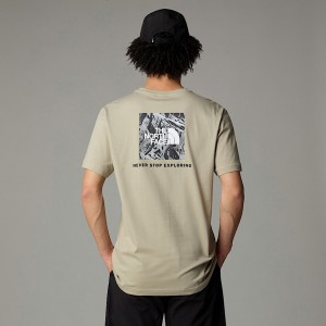 The North Face Redbox Graphic T-shirt Herr Beige | NF0A69C0S