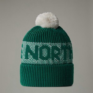 The North Face Retro Cabin Mössa Herr Gröna | NF0A71A7U