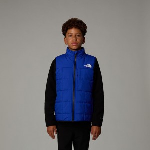 The North Face Reversible Shasta Väst Barn Blå | NF0A69V1R