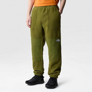 The North Face Ripstop Denali Byxor Herr Gröna | NF0A49L4Q