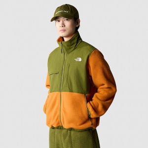 The North Face Ripstop Denali Jackor Herr Olivgröna | NF0A59P5Z