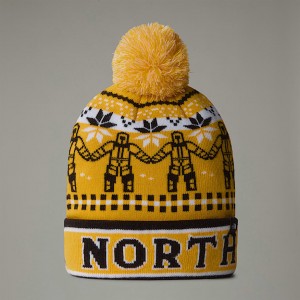 The North Face Ski Tuke Mössa Barn Guld | NF0A75E9Y