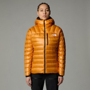 The North Face Summit Breithorn Hooded Dunjackor Dam Aprikos | NF0A54W4X