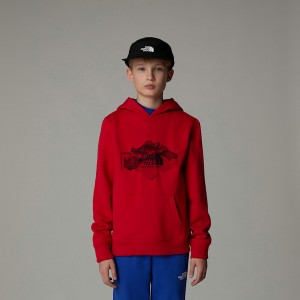 The North Face Topographic Hoodie Barn Röda | NF0A58I9F