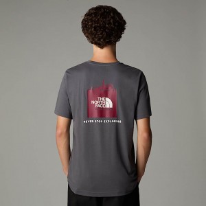 The North Face UK Redbox T-shirt Herr Grå | NF0A25V9Q