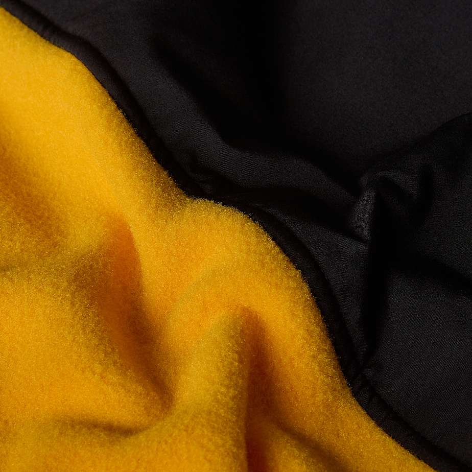 The North Face Alpine Polartec® 200 Fleecejackor Herr Guld | NF0A84T6R