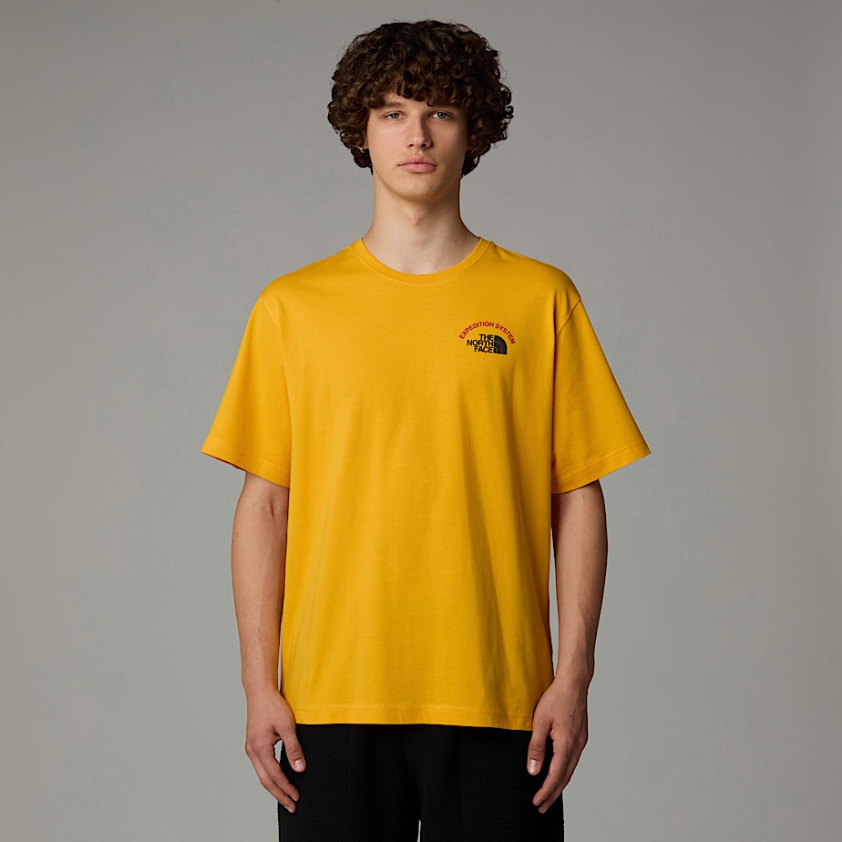 The North Face Anniversary T-shirt Herr Guld | NF0A26N1I