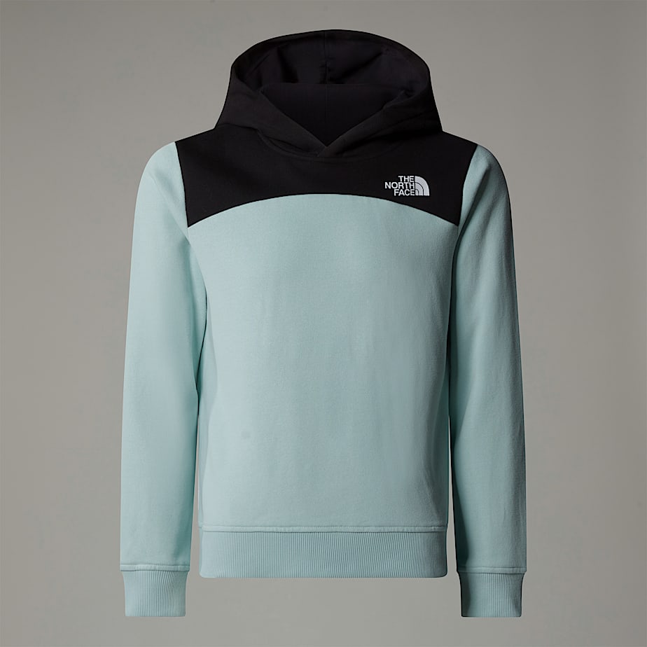 The North Face Back Logo Relaxed Hoodie Barn Turkos | NF0A93X4V