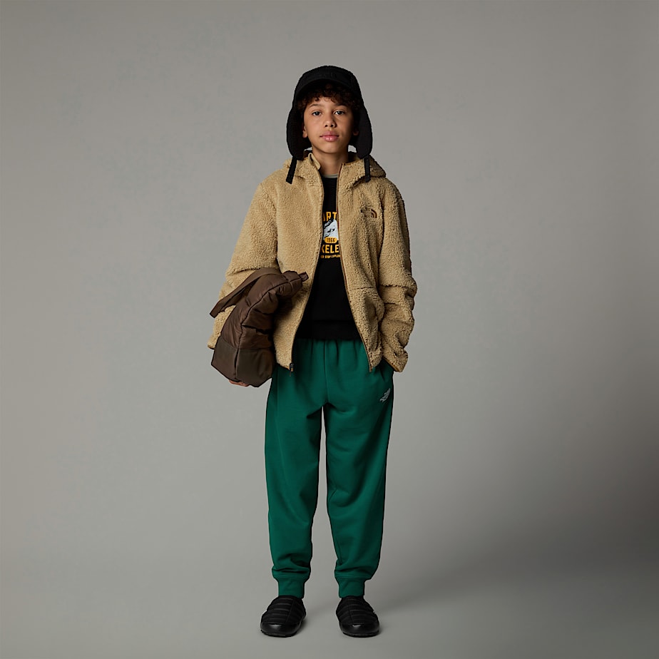 The North Face Campshire Full-Zip Hoodie Barn Khaki | NF0A61J6A