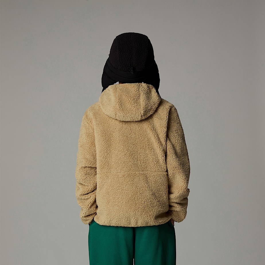 The North Face Campshire Full-Zip Hoodie Barn Khaki | NF0A61J6A