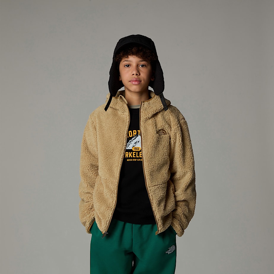 The North Face Campshire Full-Zip Hoodie Barn Khaki | NF0A61J6A