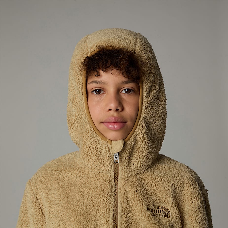 The North Face Campshire Full-Zip Hoodie Barn Khaki | NF0A61J6A