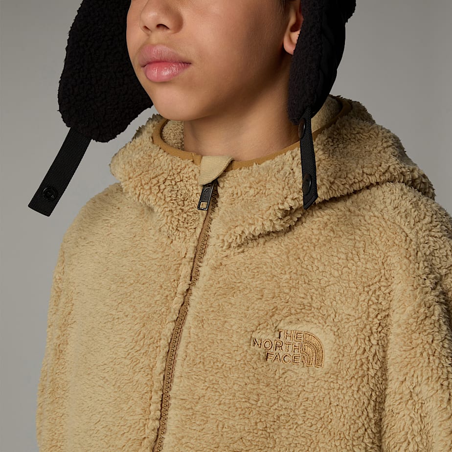 The North Face Campshire Full-Zip Hoodie Barn Khaki | NF0A61J6A