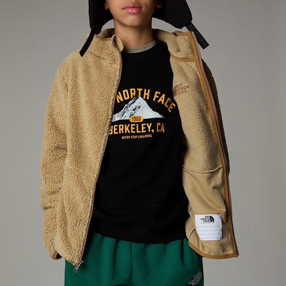 The North Face Campshire Full-Zip Hoodie Barn Khaki | NF0A61J6A