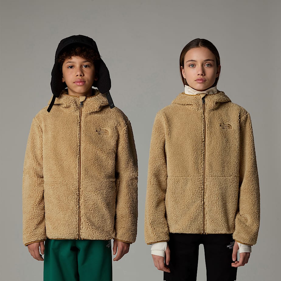 The North Face Campshire Full-Zip Hoodie Barn Khaki | NF0A61J6A