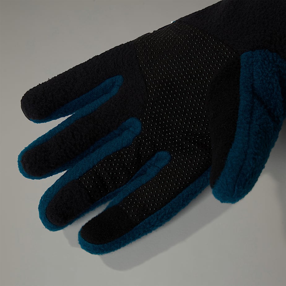 The North Face Denali Etip™ Handskar Herr Marinblå | NF0A59U7K