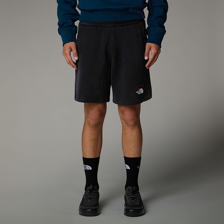The North Face Expedition System Graphic Shorts Herr Svarta | NF0A43T8O