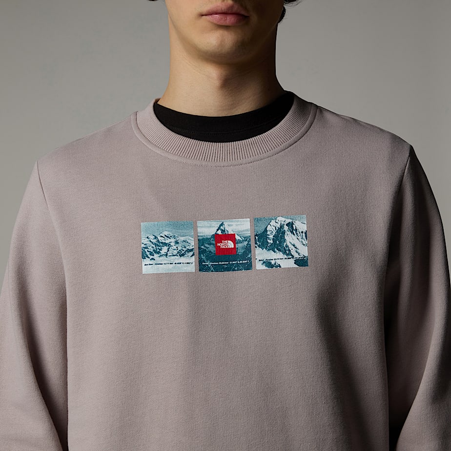 The North Face Expedition System Graphic Tröjor Herr Grå | NF0A05L7D