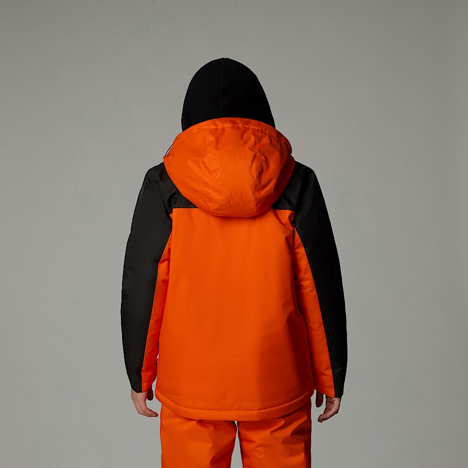 The North Face Freedom Insulated Jackor Barn Orange | NF0A96T1P