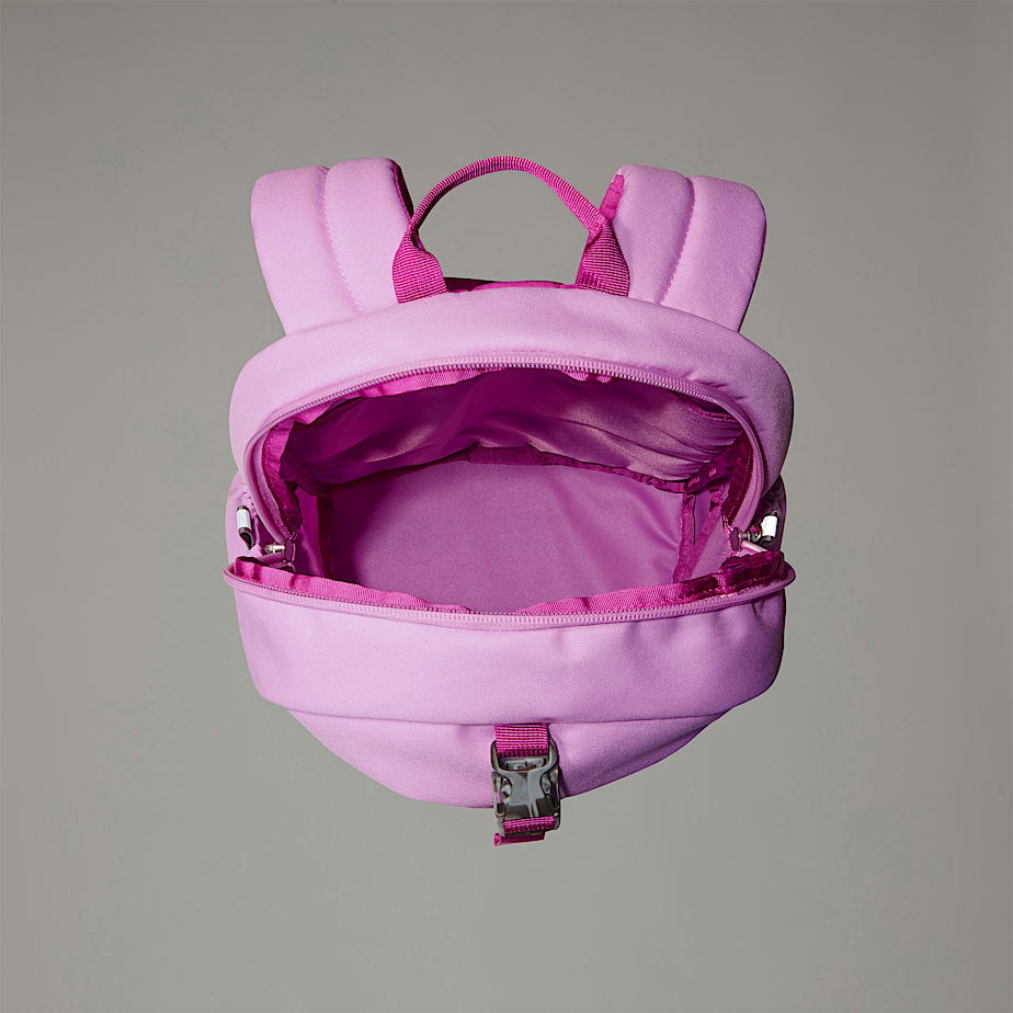 The North Face Mini Recon Ryggsäckar Barn Rosa | NF0A51Y4X