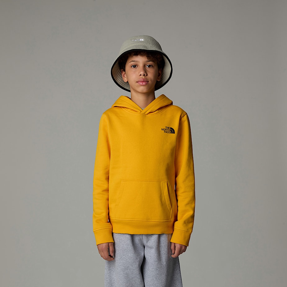 The North Face Redbox Hoodie Barn Guld | NF0A09P4C