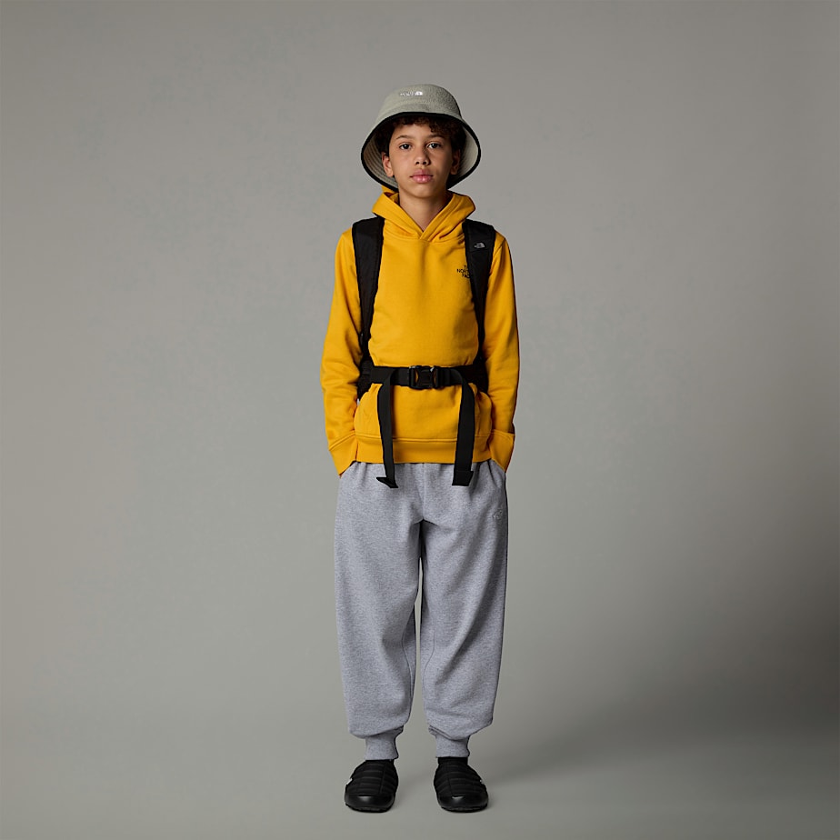 The North Face Redbox Hoodie Barn Guld | NF0A09P4C