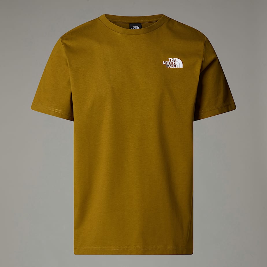 The North Face Redbox T-shirt Herr Gröna | NF0A24E4R